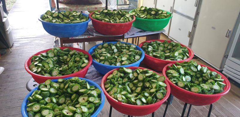밤가시 여주농장님의 장터 판매 상품 [건여주. 볶은여주 200그램] 첨부 사진