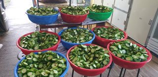 밤가시 여주농장님의 작성글 사진