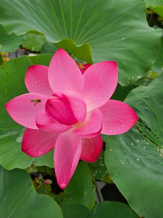 양철주님의 내 농사 경력 자랑하기 · 참여 작성글 사진