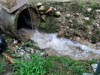 강성민님의 사과 · 영농일지 작성글 사진