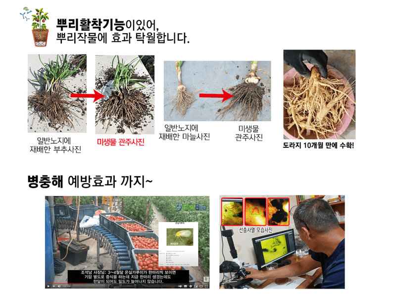 단지바이오님의 장터 판매 상품 [[단지바이오] 유기농자재 공시제품 쑥쑥튼튼] 첨부 사진