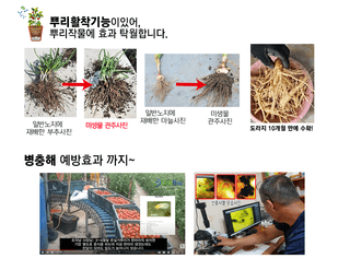 단지바이오님의 작성글 사진