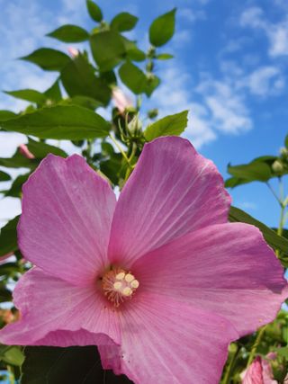 새리님의 자유주제 · 자유게시판 작성글 사진