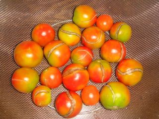 (주)누보님의 작성글 사진