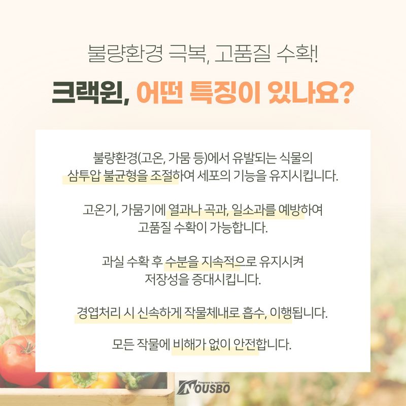 (주)누보님의 장터 판매 상품 [(주)누보_열과 예방 및 저장성 증대 전문자재 크랙윈 500ml] 첨부 사진