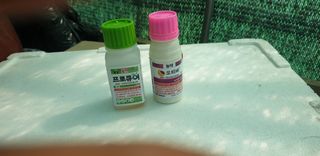 신정애님의 고추 · 영농일지 작성글 사진