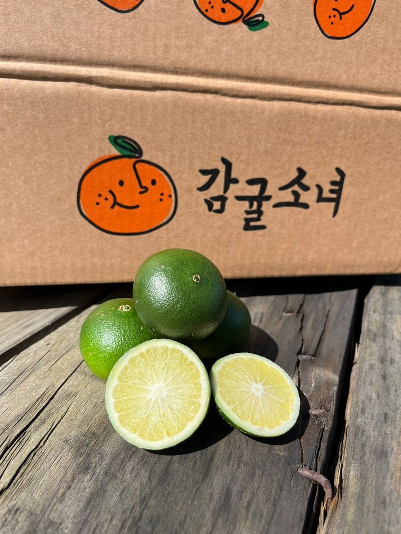 장터 상품 [[무료배송] 풋귤 잔류 농약검사 완료🍊 올해 첫 수확 건강한 풋귤 판매합니다] 썸네일