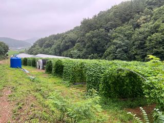 엘림농장님의 기타작물 · 자유게시판 작성글 사진