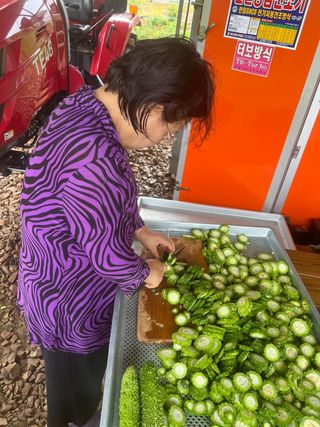 엘림농장님의 기타작물 · 자유게시판 작성글 사진