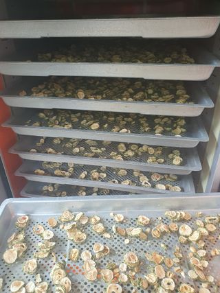 엘림농장님의 기타작물 · 자유게시판 작성글 사진