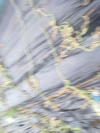 갈대님의 기타작물 · 병해충상담 작성글 사진