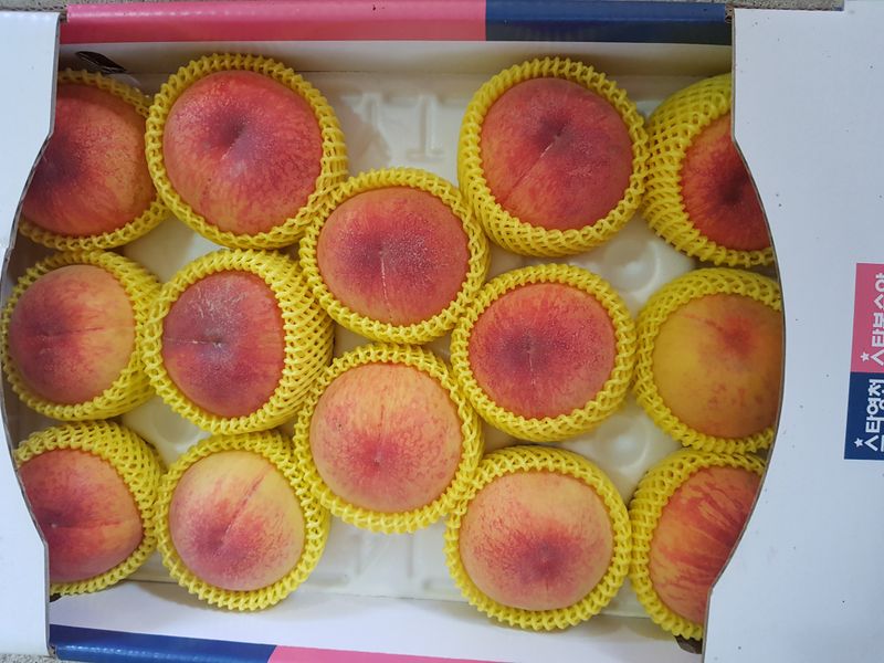 마늘  복숭아윤금자님의 장터 판매 상품 [복숭아 경봉  홍도 찌오마루 5키로] 첨부 사진