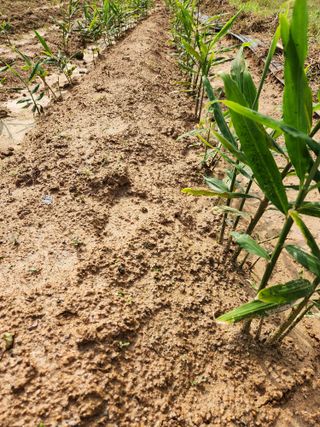 최승일님의 자유주제 · 사진전 작성글 사진