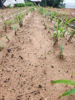 최승일님의 자유주제 · 사진전 작성글 사진