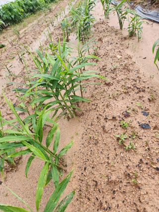 최승일님의 자유주제 · 사진전 작성글 사진