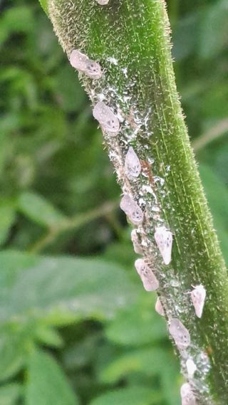 이종춘님의 자유주제 · 자유게시판 작성글 사진