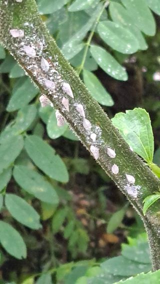 이종춘님의 자유주제 · 자유게시판 작성글 사진