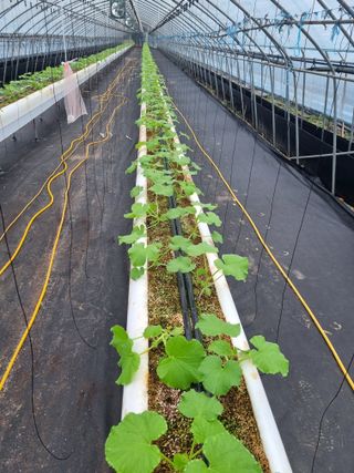 정융희님의 자유주제 · 자유게시판 작성글 사진