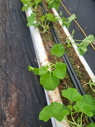 정융희님의 자유주제 · 자유게시판 작성글 사진