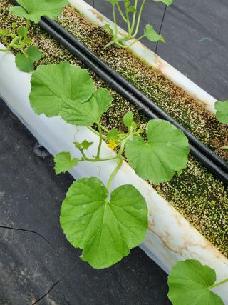 정융희님의 자유주제 · 자유게시판 작성글 사진