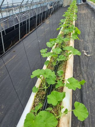 정융희님의 자유주제 · 자유게시판 작성글 사진