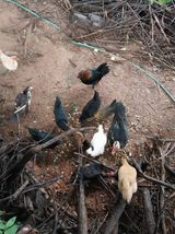 팜모닝 자유주제·자유게시판 게시글 이미지