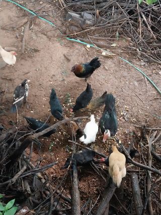 33okok님의 자유주제 · 자유게시판 작성글 사진