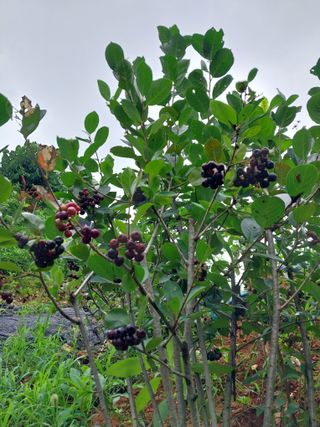 33okok님의 자유주제 · 자유게시판 작성글 사진