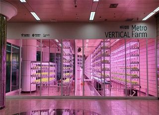 팜모닝 농사지식님의 기타작물 · 병해충상담 작성글 사진