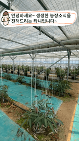 팜모닝 기타작물·자유게시판 게시글 이미지