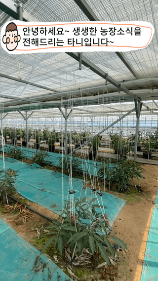 타니마켓(조수찬)님의 기타작물 · 자유게시판 작성글 사진