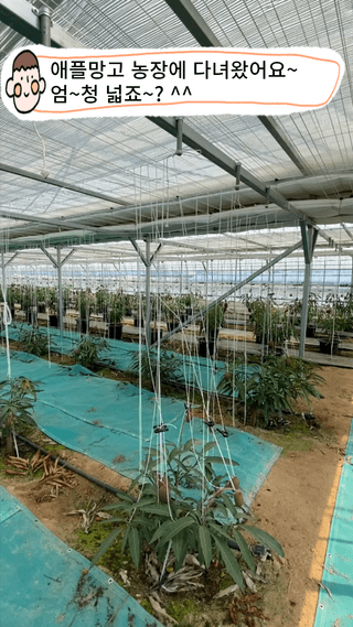 타니마켓(조수찬)님의 기타작물 · 자유게시판 작성글 사진