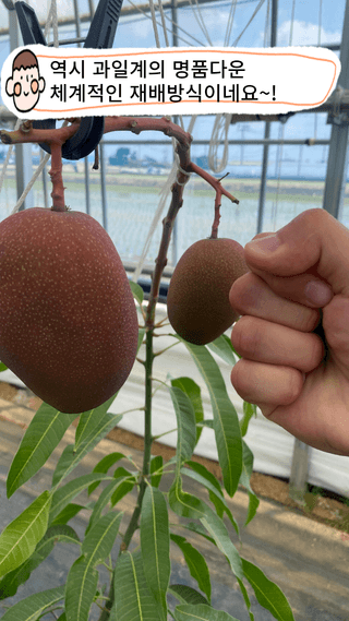 타니마켓(조수찬)님의 기타작물 · 자유게시판 작성글 사진