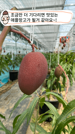 타니마켓(조수찬)님의 기타작물 · 자유게시판 작성글 사진