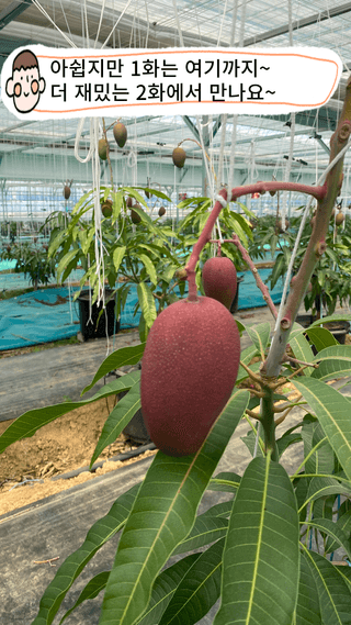 타니마켓(조수찬)님의 기타작물 · 자유게시판 작성글 사진