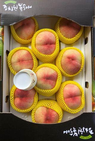 김은경님의 내 농사 경력 자랑하기 · 참여 작성글 사진