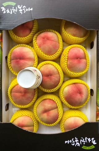 김은경님의 내 농사 경력 자랑하기 · 참여 작성글 사진