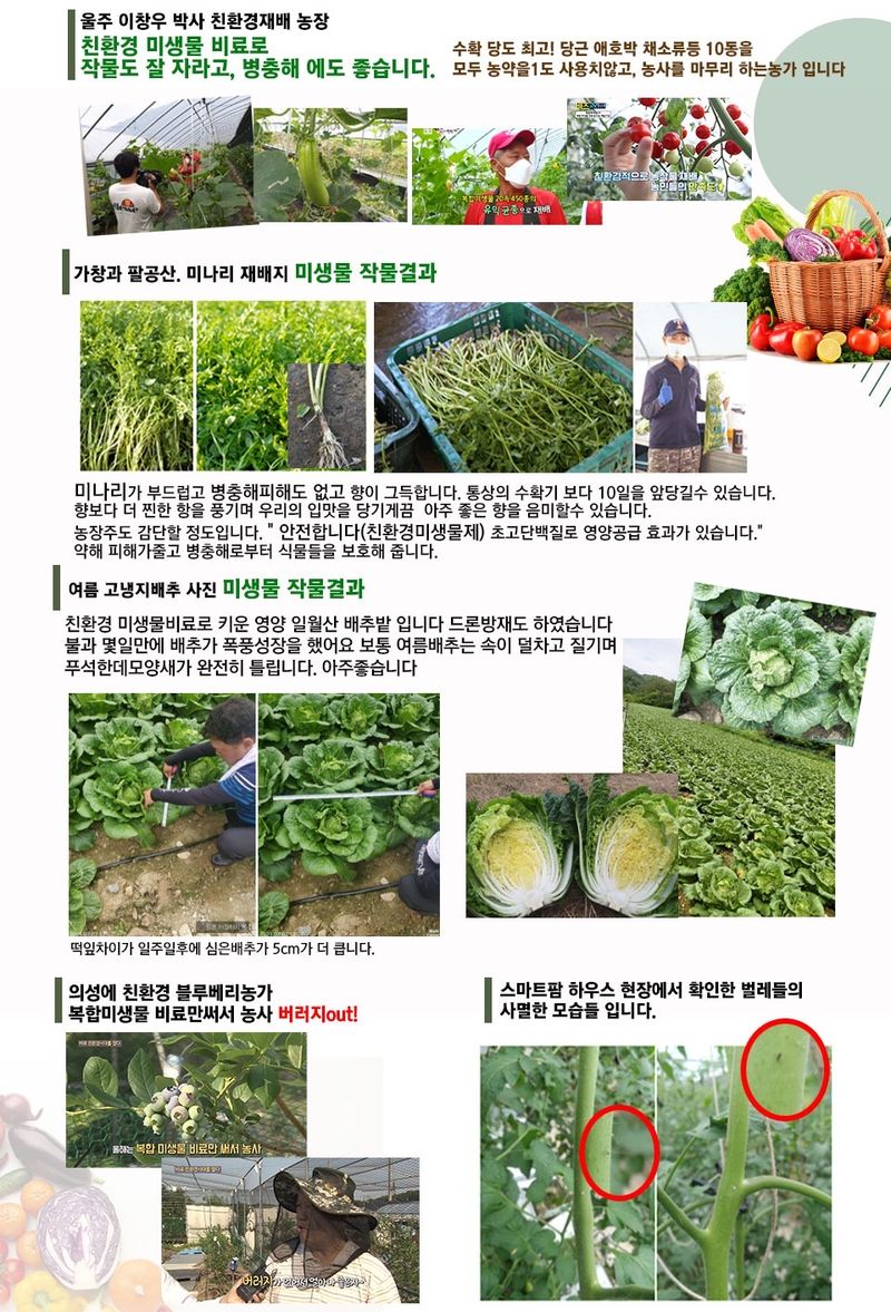 단지바이오님의 장터 판매 상품 [[단지바이오] 농약없는 친환경 살충제 한방킬!] 첨부 사진