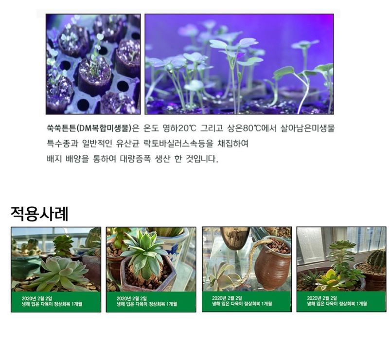 단지바이오님의 장터 판매 상품 [[단지바이오] 가정용 식물영양제 쑥쑥튼튼 500ml 식집사용] 첨부 사진