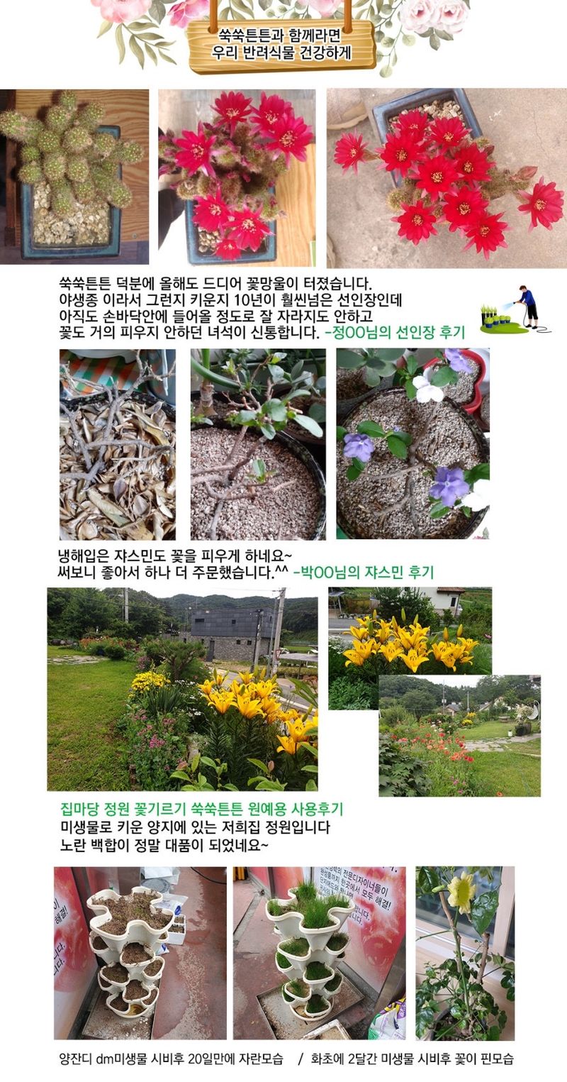 단지바이오님의 장터 판매 상품 [[단지바이오] 가정용 식물영양제 쑥쑥튼튼 500ml 식집사용] 첨부 사진