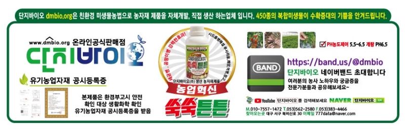 단지바이오님의 장터 판매 상품 [[단지바이오] 가정용 식물영양제 쑥쑥튼튼 500ml 식집사용] 첨부 사진