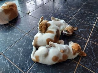 몽자아빠님의 우리동네 · 무료나눔 작성글 사진