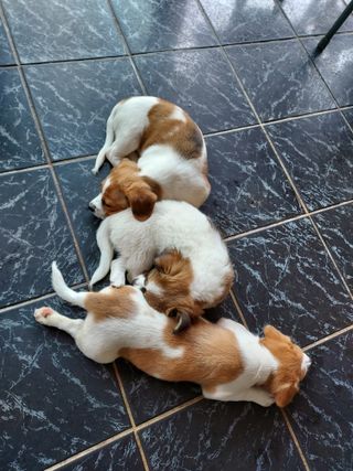 몽자아빠님의 우리동네 · 무료나눔 작성글 사진