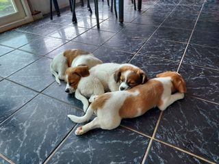 몽자아빠님의 우리동네 · 무료나눔 작성글 사진