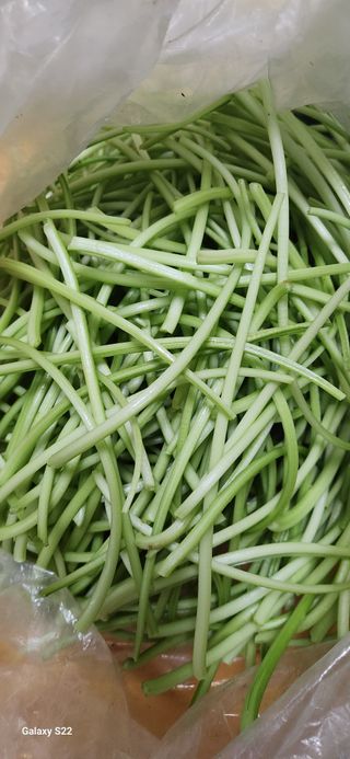 접시꽃님의 고구마 · 자유게시판 작성글 사진