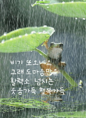 인생은 소풍처럼님의 토마토 · 일상 작성글 사진