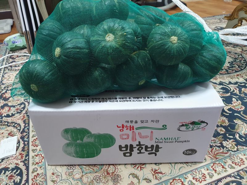 장터 상품 [보우짱 (미니밤호박) 10kg(판매완료)] 썸네일