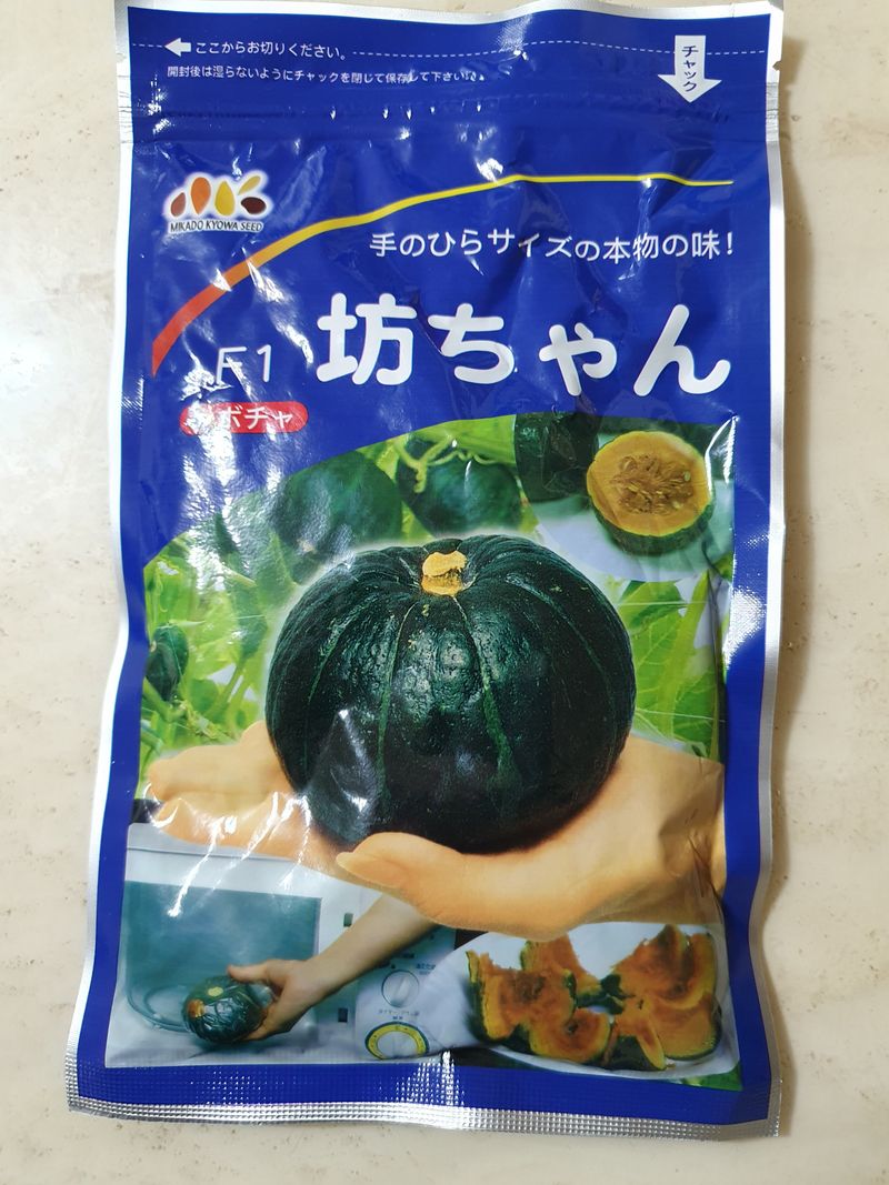 송죽암님의 장터 판매 상품 [보우짱 (미니밤호박) 10kg(판매완료)] 첨부 사진