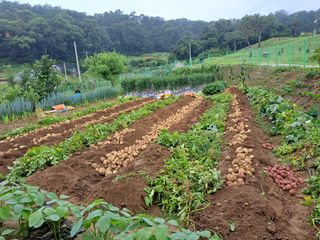 들깨(이희섭)님의 자유주제 · 자유게시판 작성글 사진