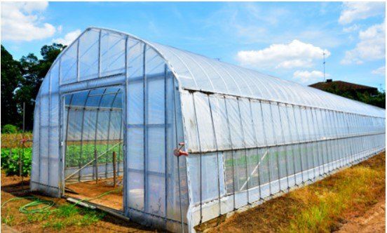 한농농약종묘사님의 장터 판매 상품 [비닐하우스비닐 0.1mm 삼중장수필름 국산정품] 첨부 사진